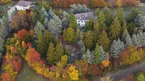 An aerial view of a residential area with two houses surrounded by dense forests. - Cozy home in Marsaglia with kitchen (Marsaglia)