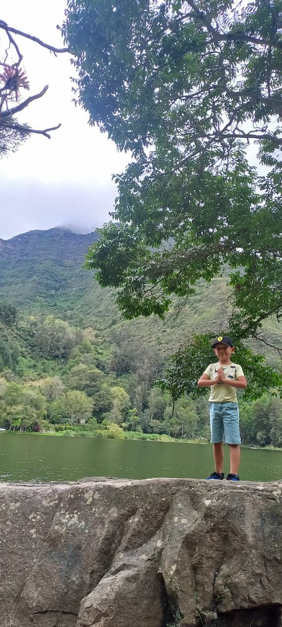 Uma pessoa em uma rocha, com vista para um lago e colinas ao fundo.