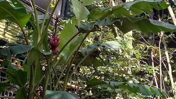 Baita Design | 1 camera, biancheria da letto di alta qualità, copriletto in piuma