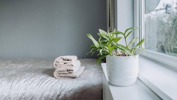 Cama bem arrumada com toalhas dobradas, planta em vaso no parapeito da janela e vista para árvores através da janela.