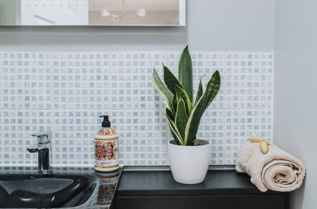 A bathroom with a sink, a potted plant, and a bottle of soap.