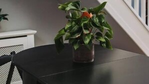 Uma mesa redonda preta com uma planta em vaso, um banco branco e uma escadaria com corrimãos brancos.