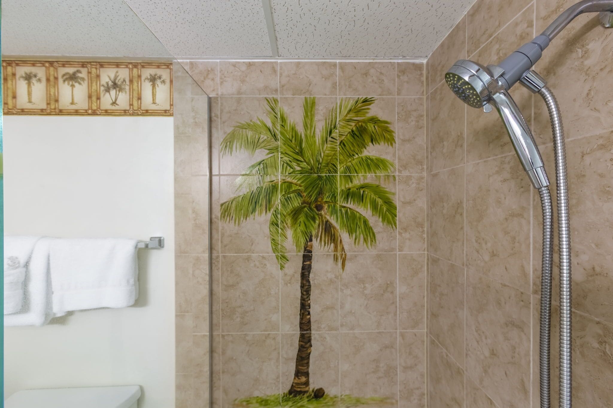 Shower, hair dryer, towels, shampoo