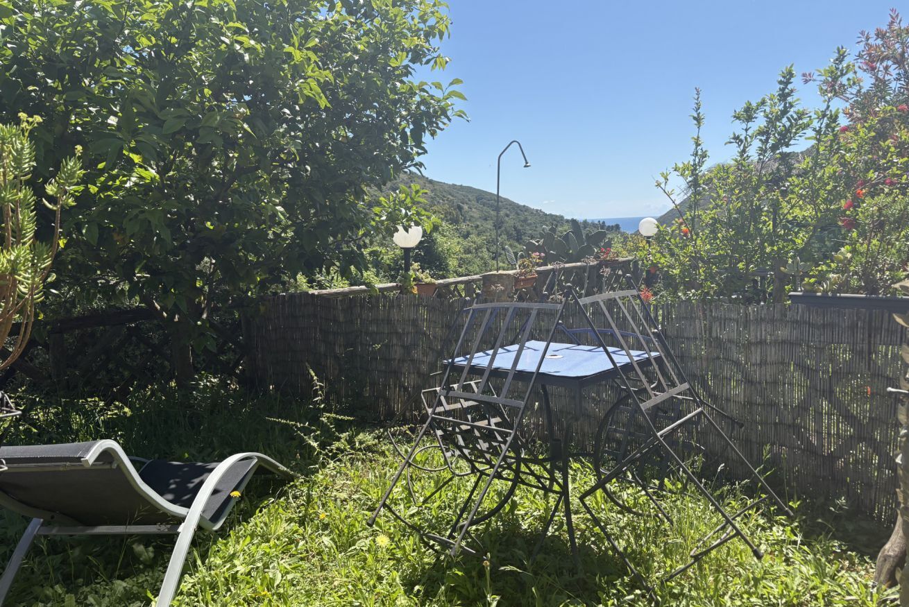 Un jardín con una silla de metal y una mesa, rodeado de follaje y una valla de bambú.