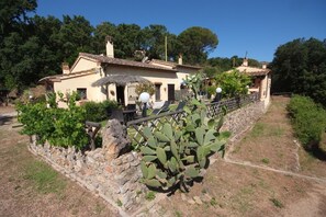 A house with a stone wall, a cactus, and a garden.