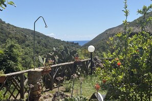 Un jardin avec des cactus, une clôture en bois et un lampadaire.