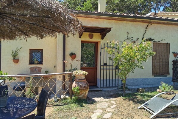 A rustic building with a door, potted plants, a small tree, and outdoor furniture.