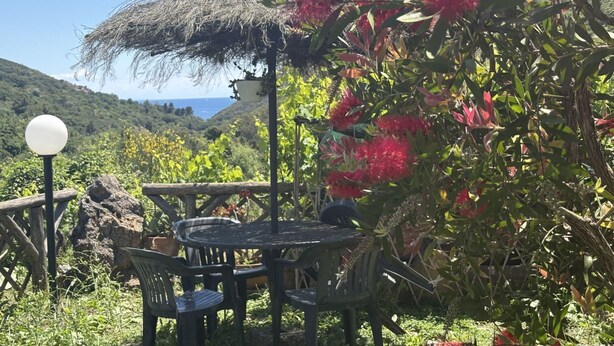 An outdoor seating area with a table and chairs, a thatched umbrella, and a view of a mountainous landscape. - Villetta Miramare Ortano 1 (Rio)