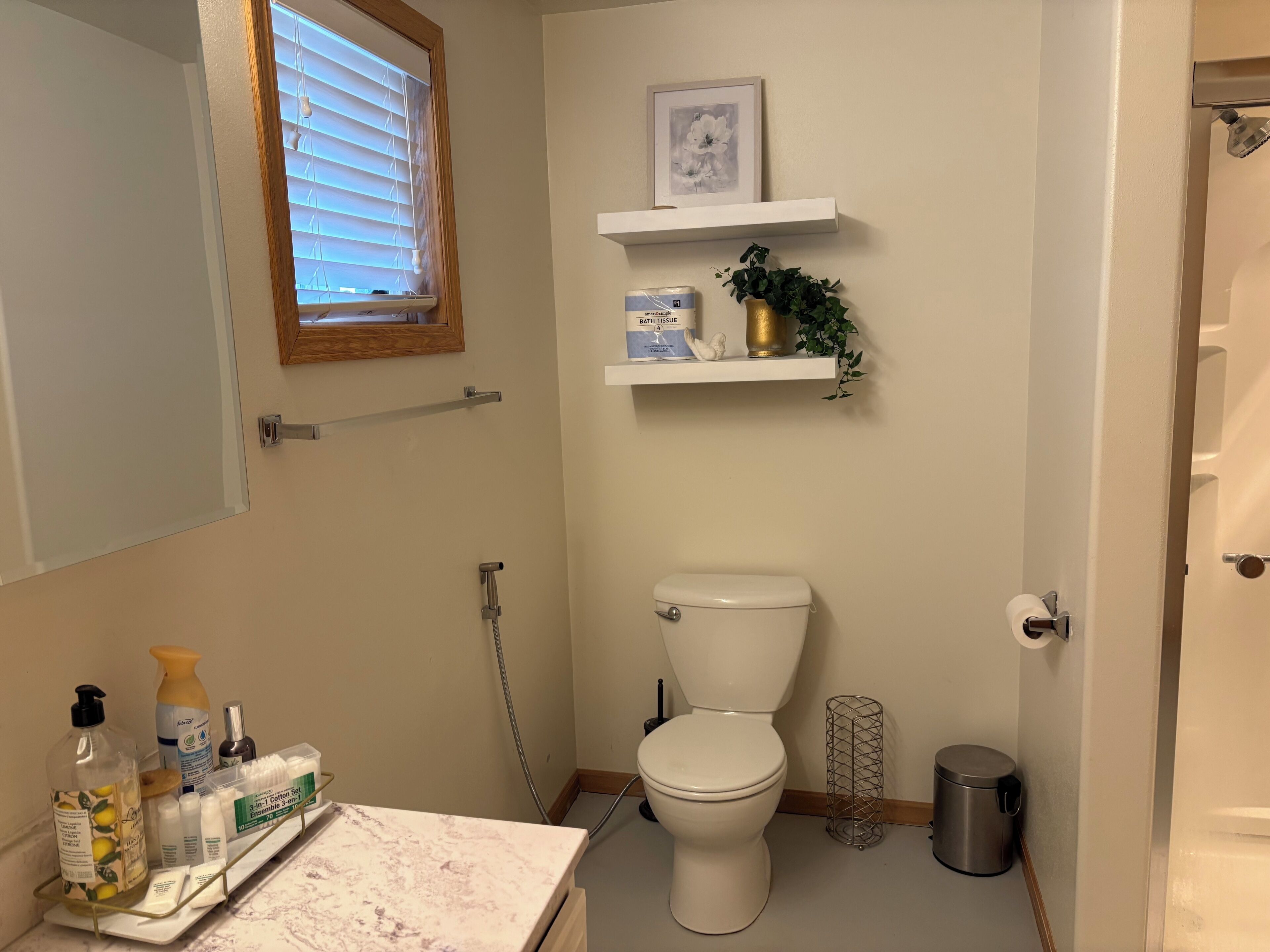 Un baño con inodoro, lavamanos con artículos de aseo, ducha y un pequeño estante con una planta y un cuadro enmarcado.