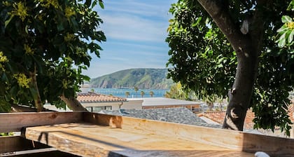 Hang Ten at the Studio! Vibe in This Groovy Avila Beach Studio Condo!