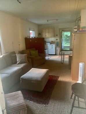TV, DVD player - Vintage Cabin on small Private Lake (Phelps)