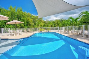 صورة غير مصنفة، 4 من 50، زرّ