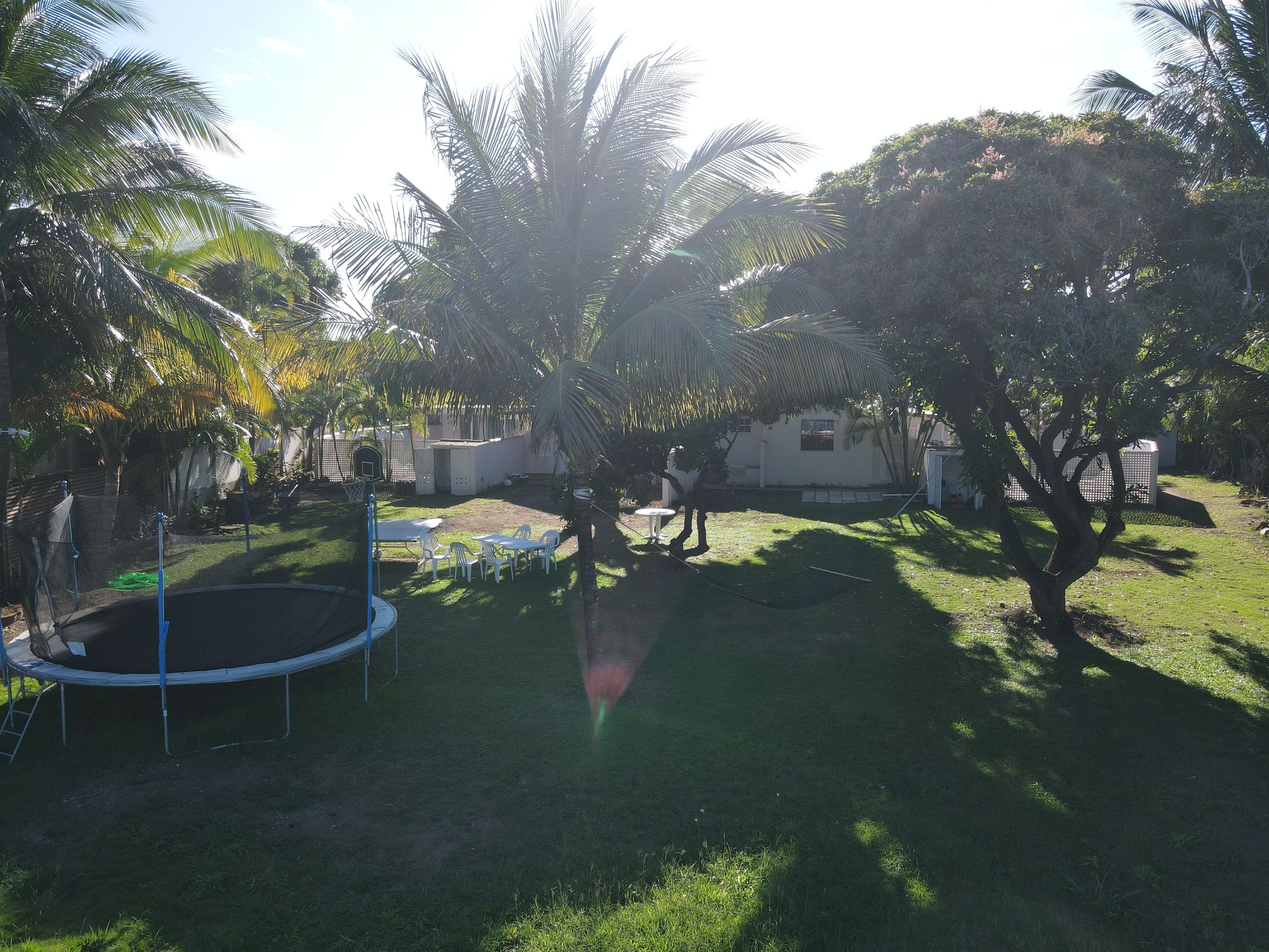 A backyard with a trampoline, a small table, and chairs. There are palm trees and a white building in the background.