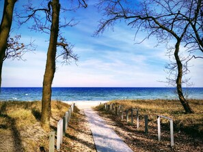 A pathway leading to the beach with trees on either side.