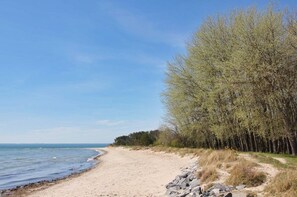 Beach - Haus Sanddorn - Geräumige Ferienwohnung Absoluter Strandnähe - Haus Sanddorn Fewo 07 (Mönchgut)