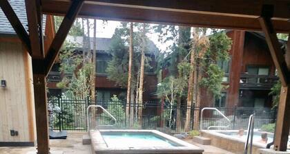 Luxury Condo steps away from Peak 9 chairlift/Main St. Best Breck has to offer!