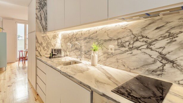 A modern kitchen with marble countertops, a built-in sink, and a small potted plant. - D&S -JB Apartments - A (Oporto)