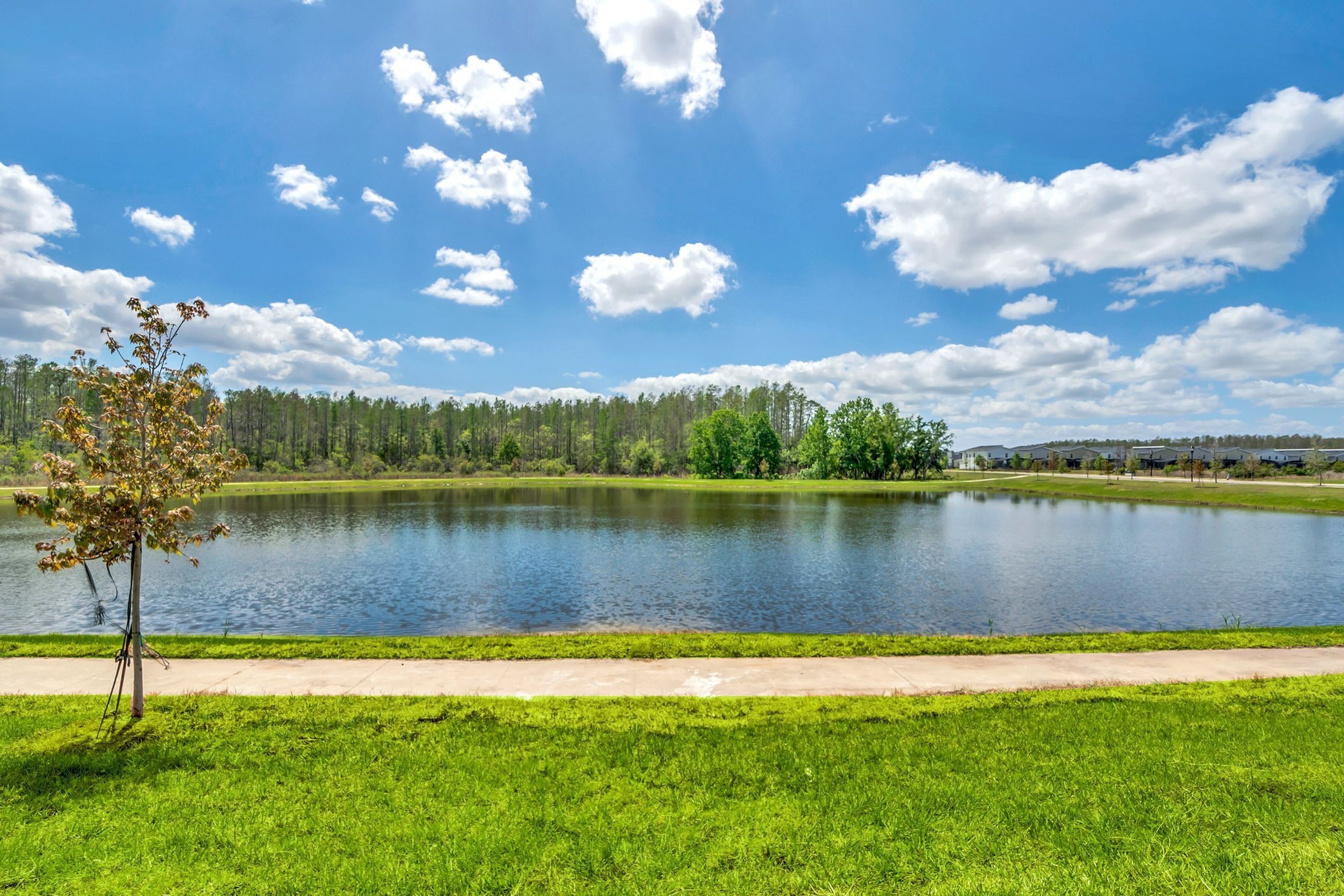 A serene lakeside view with a clear sky, a grassy foreground, and a row of trees in the distance.