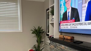 A living room with a flat-screen TV mounted on the wall, a white sofa, a potted plant, and a stone fireplace. - Best Choice. Spacious, 1BR 1BA Apt in NW DC area with free street parking. (Washington)