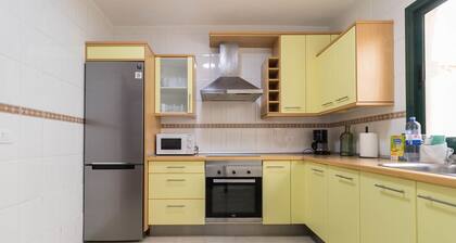 Fall in love with Galdar.