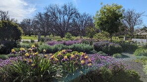 Property grounds - Modern, Private Countryside House. Peaceful Nature, Non-Toxic Soaps & Cleaners.  (Chico)