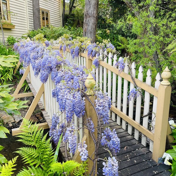 Terrain de l’hébergement 