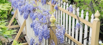 Aldgate Creek Cottage