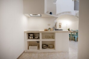 Fridge, stovetop, dishwasher, electric kettle