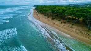 Serviettes de plage