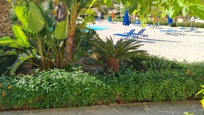 A pool area with lounge chairs and umbrellas, surrounded by lush greenery and a stone wall.
