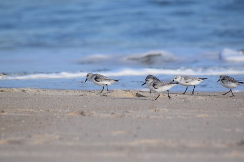 Quiet coastal retreat, minutes from Ocean City, MD, full kitchen.