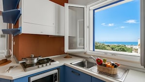 Eine moderne Küche mit Herd, Backofen und Spüle, und Meerblick durch ein Fenster.