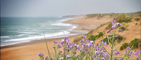 Plage à proximité