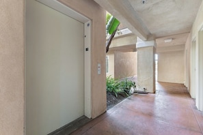 Un corridoio con una porta chiusa, un soffitto con un lampadario e una pianta vicino al muro.