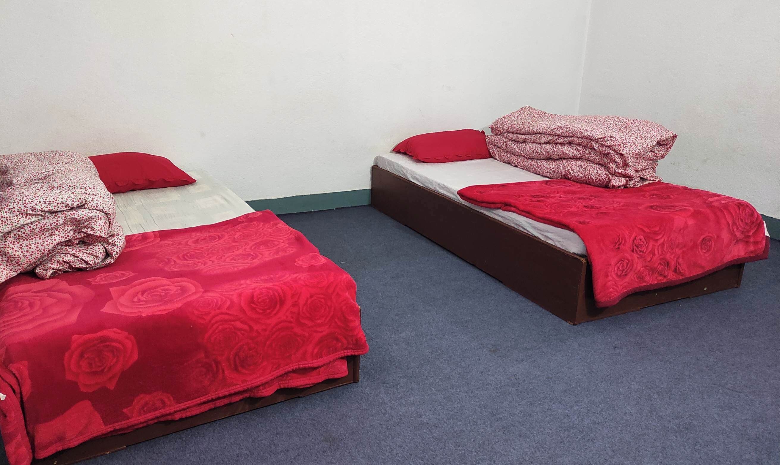 Two single beds with red floral bedding and pillows, a white wall, and a blue carpet.