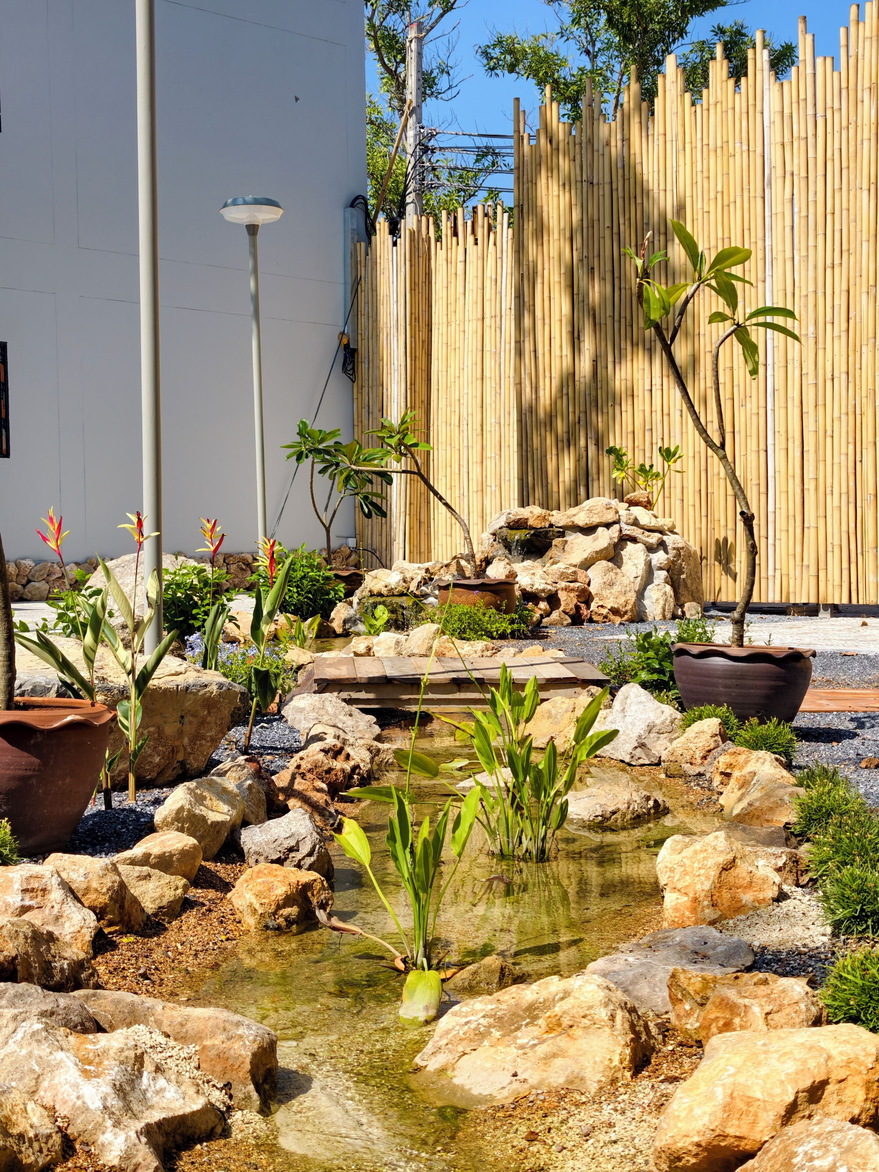 Un jardín con un estanque pequeño, rocas y diversas plantas.