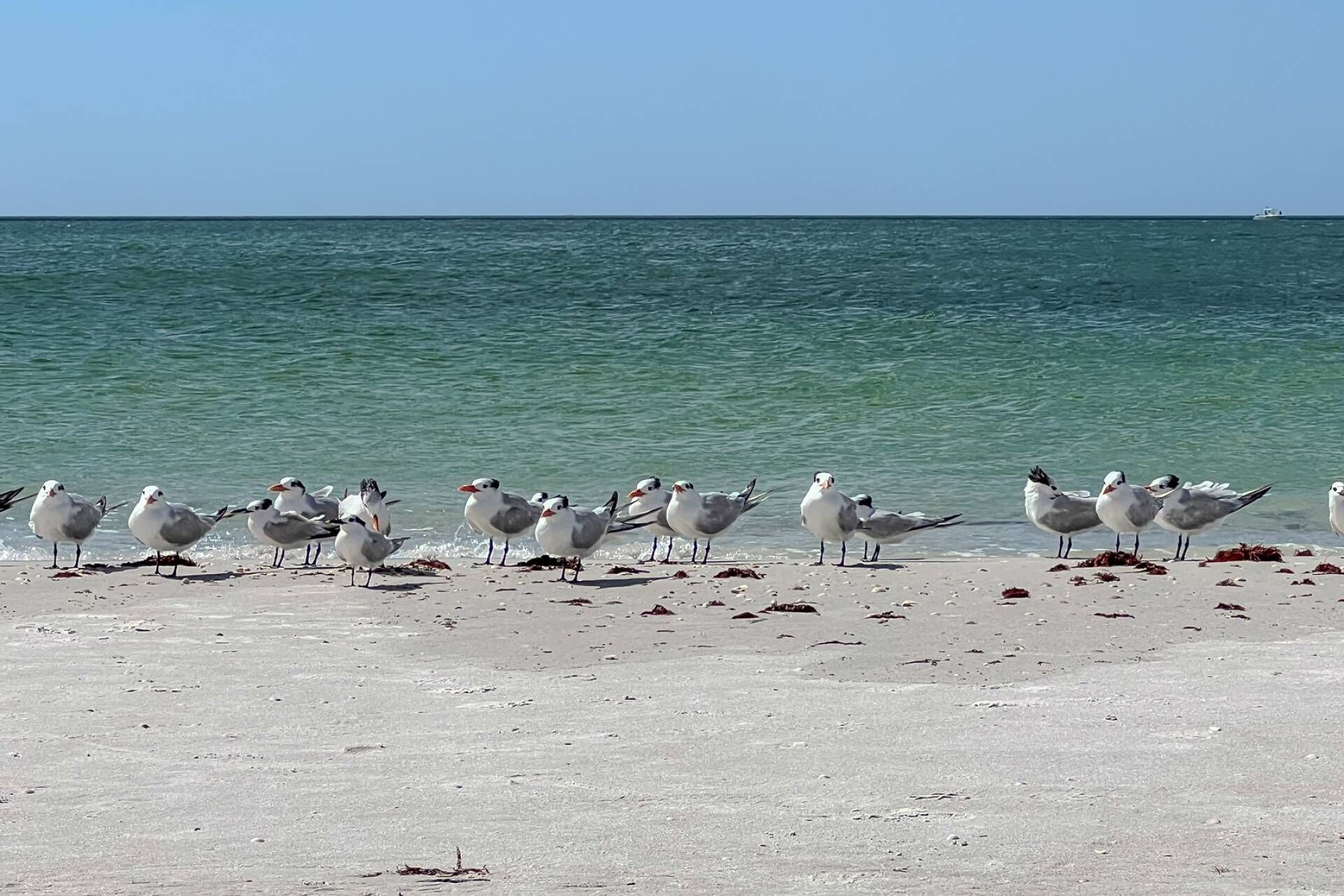 On the beach, beach towels, motor boating