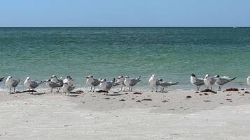 On the beach, beach towels, motor boating
