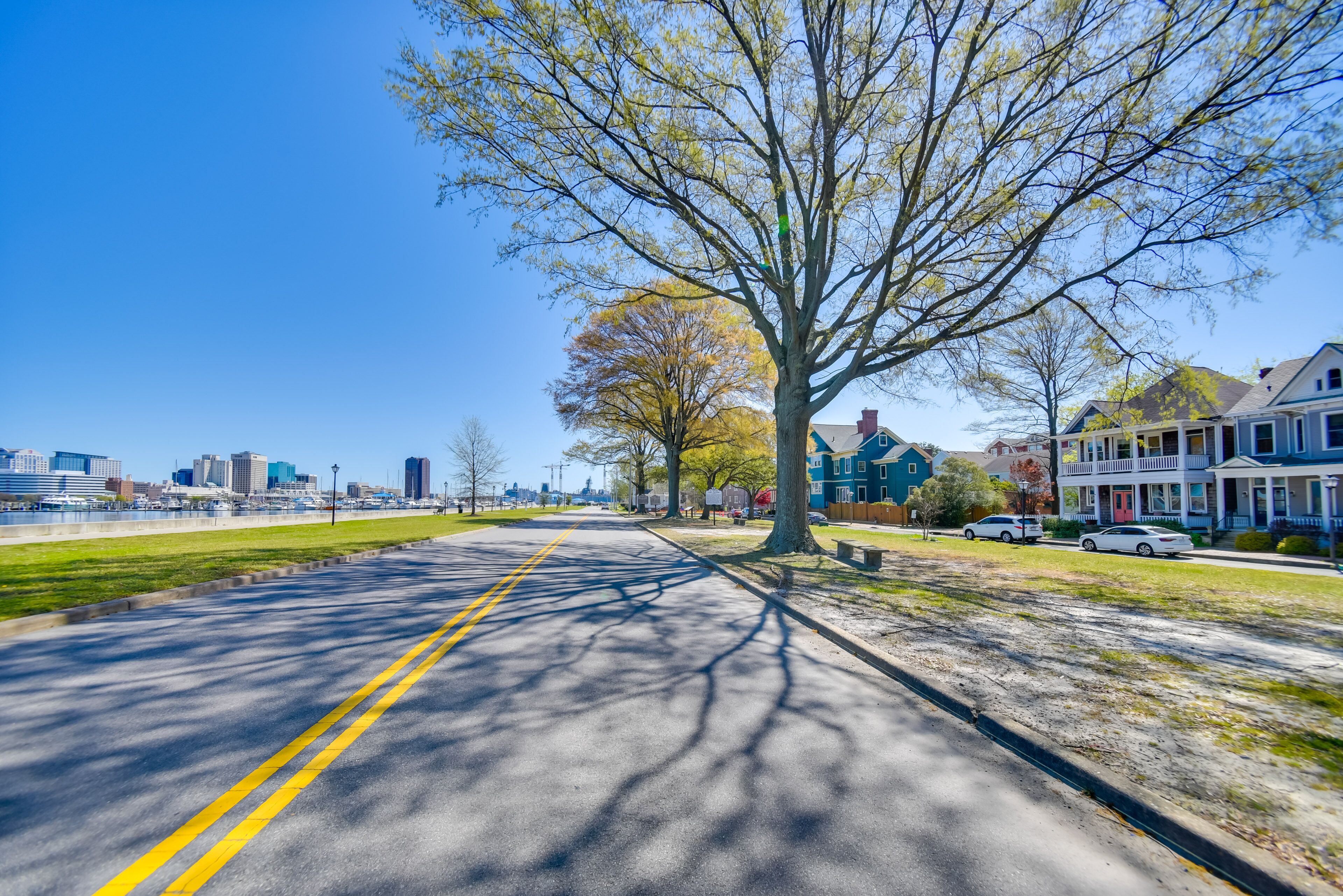 Une rue bordée d’arbres, avec des maisons d’un côté et le profil de la ville en arrière-plan.