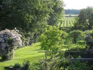 Boendeområde