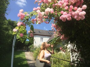 Property grounds - Apartment 'Bioweingut Hauerhof 99 - 3' with Private Terrace, Wi-Fi and Air Conditioning (Klosterneuburg)