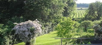 Apartment 'Bioweingut Hauerhof 99 - 3' with Private Terrace, Wi-Fi and Air Conditioning
