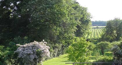 Apartment 'Bioweingut Hauerhof 99 - 3' with Private Terrace, Wi-Fi and Air Conditioning