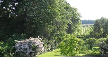 Apartment 'Bioweingut Hauerhof 99 - 4' with Shared Terrace, Wi-Fi and Air Conditioning