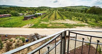 Ferienwohnung Eichert 55qm mit Balkon und WLAN