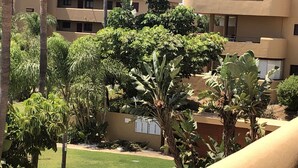 A landscaped courtyard with palm trees, a pathway, and a building with a beige facade.