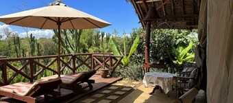Unwind Naturally: Find Serenity at Kenya's Buffalo's Rest Tented Camp!