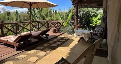 Unwind Naturally: Find Serenity at Kenya's Buffalo's Rest Tented Camp!