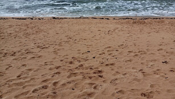 Ein sandiger Strand mit Fußspuren und einem Stock im Sand.