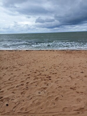 Uma praia arenosa com pegadas e um graveto na areia.